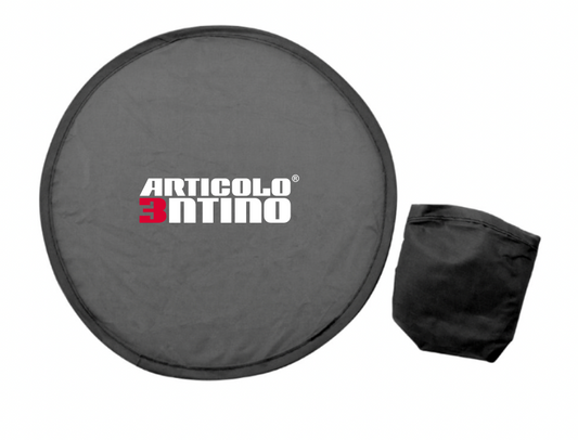 Frisbee